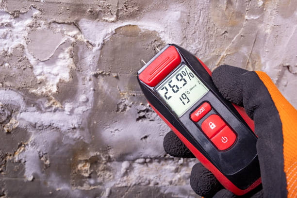 Best Crawl Space Mold Removal  in Wildomar, CA